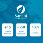 049 - XIAO CHAI HU TANG - Image 5