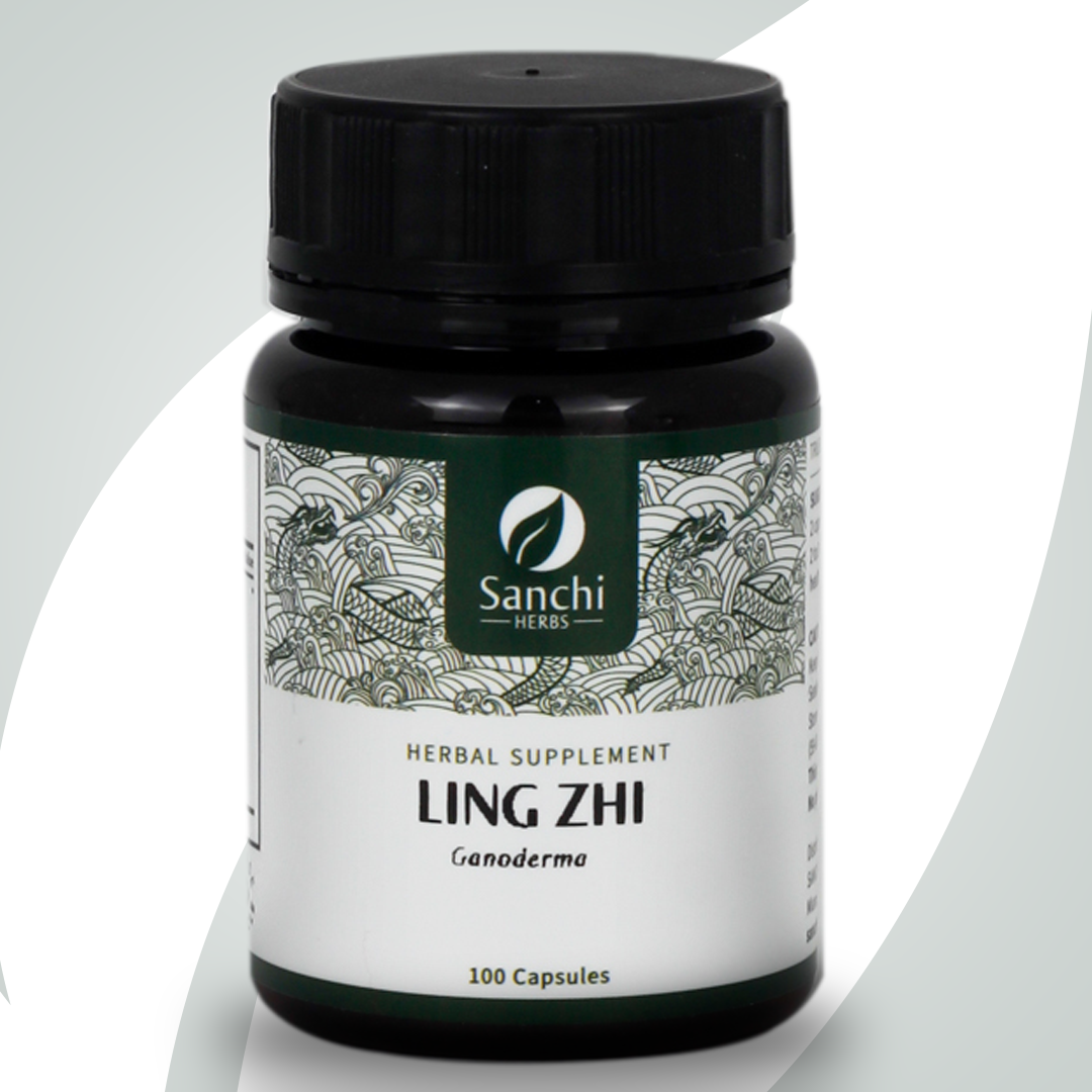 128 Imagem 1_ Produto_ 128 - Ling Zhi - Image 1