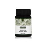 054 - ZHI BAI DI HUANG WAN