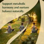 224 - SHAN GEN ZHU WAN - Image 2