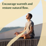 020 - GUI ZHI FU LING WAN - Image 2