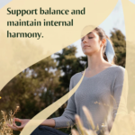 086 - WAN DAI TANG - Image 2